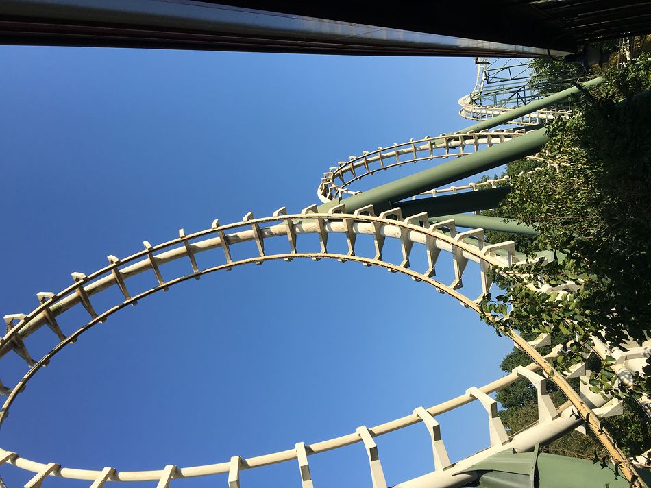 Python photo from Efteling