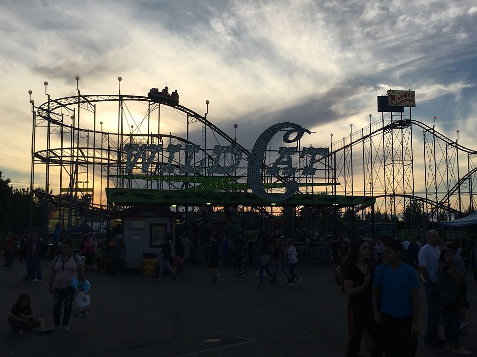 Wildcat photo from Washington State Fair