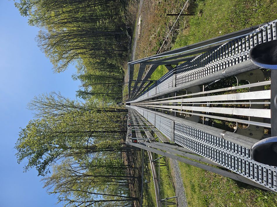 The Coaster at Goats on the Roof photo from Goats on the Roof of the Smoky Mountains