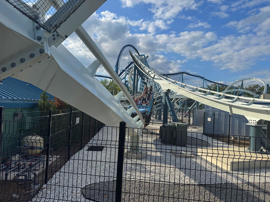 Penguin Trek photo from SeaWorld Orlando