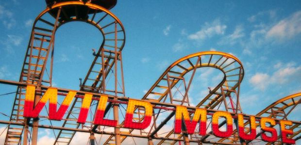 Wild Mouse