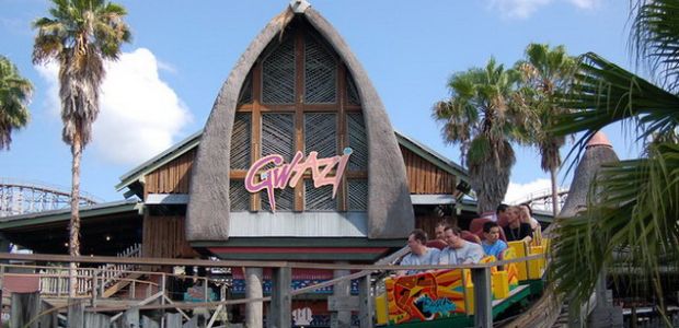 Gwazi Lion At Busch Gardens Tampa Coasterbuzz