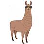 Llama Drama's avatar